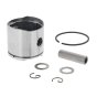 Piston Assembly for ECHO PB-265L, PB-251, PB-255 Blowers - OEM No. P021010260