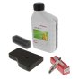 Service Kit for Honda EU20i, EU22i Generator - 06211-Z07-000