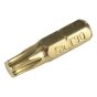 Torx Screwdriver Bits