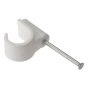 Pipe Clip with Masonry Nail 16mm Box 100 by Forgefix - PCMN16