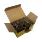 Spectre Countersunk PZ 4.0 x 16mm Screw - Pack of 200
