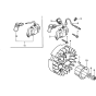 Flywheel & Ignition Coil Assembly