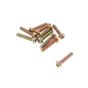 Machine Screw M5x25 (10 Pcs) - Genuine Hikoki