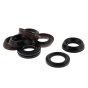 Water Seal Kit for Interpump WS201 Water Pump