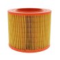 Air Cleaner Element for Lister Petter PH2 Engine - OEM No. 289185