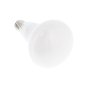 6w SES LED R50 Reflector Warm White Light Bulb