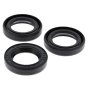 Oil Seal Kit for Interpump Water Pumps