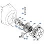 Recoil Starter Assembly for Kubota AT60 Tiller