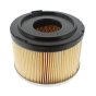 Air Filter fits Kohler KD15-440 Engine - No. L2175.330