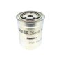 Fuel Filter for Lombardini LDW 1003, LDW 1003/T Engines - L2175.318