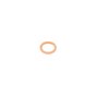 O Ring Ldw1204 for Lombardini - OEM No. L4670.059