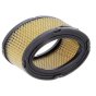 Air Filter Fits Tecumseh HM70, H80, HM80 Engines - Replaces 33268