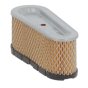 Filter Cartridge fits Briggs & Stratton Engine - Replaces 496894S