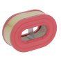 Oval Air Filter for Hatz 1D50 Engines - OEM No. 000000952900