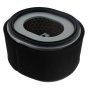 Air Filter for Yanmar L100N Engines - OEM No. 114211.12510