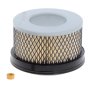 Air Filter for Lombardini 15LD400 Engines - OEM No. ED 0021753060S