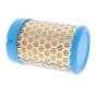 Air Filter for Kohler CH395 Engines