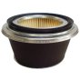 Cone Air Filter for Honda G200