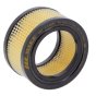 Air Filter fits Kohler K161, K181 Engine - Replaces 231847-S