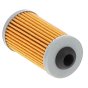Fuel Filter Cartridge for Hatz 1B20 Compactors