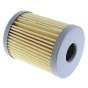 Fuel Filter for Lombardini Engines - OEM No. ED 0021750032S