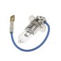 Automotive 24v 100w Bulb - LLB495
