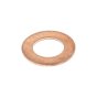 Packing Ring 8x15x1 DIN7603 for Nilfisk MC 3C, MC 4M Pressure Washers - OEM No. 65466