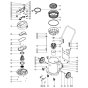 Numatic WV900 Assembly