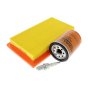 Maintenance Kit for Generac 20KW 999CC Generators - PFG0064850
