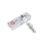 Spark Plug - Genuine NGK Part - OEM No. 5768