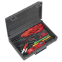 Auto Probe with LCD Display 3-42V dc Sealey Part No. PP7