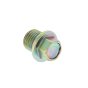 Plug for Robin/Subaru DY41, DY42 Engine - OEM No. 228-85015-08