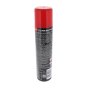 300ml Fly & Wasp Killer Aerosol - Fast Acting, Ideal for Home Use