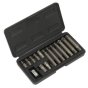 Ribe Bit & Holder Set 15pc - 3/8"Sq Drive Sealey Part No. S0871