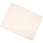 Absorbent Pads (10) Oil & Fuel by Scan - OP10