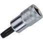 Torx Bit Sockets 3/8in Drive