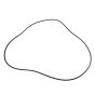 Hub O-Ring Thwaites Mach 166 - No. T51882