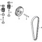 Camshaft & Belt Assembly