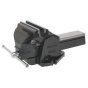 Professional Mechanic's Vice 200mm SG Iron Sealey Part No. USV200
