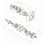 Exciter Assembly for Wacker