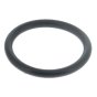 Rubber Ring for FSP Electric Submersible Pump - W168021