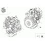 Engine Assembly for Neuson 3001