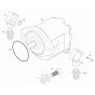 Gear Pump Assembly