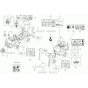 Decals for Neuson 3001 Dumper