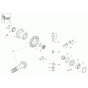 Differential Axle Assembly