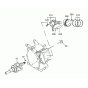 Crankshaft & Piston Assembly