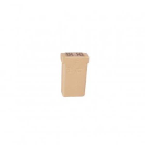 25 Amp Natural Mcase + Cartridge Type Fuse - Each - 0-379-10