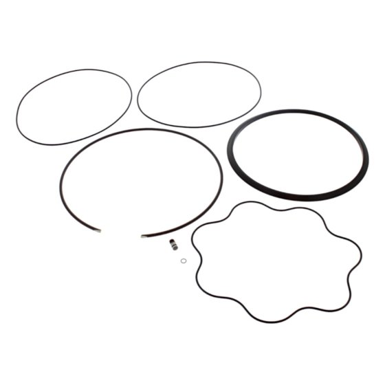 Seal Kit for BW120 Roller - 05818399