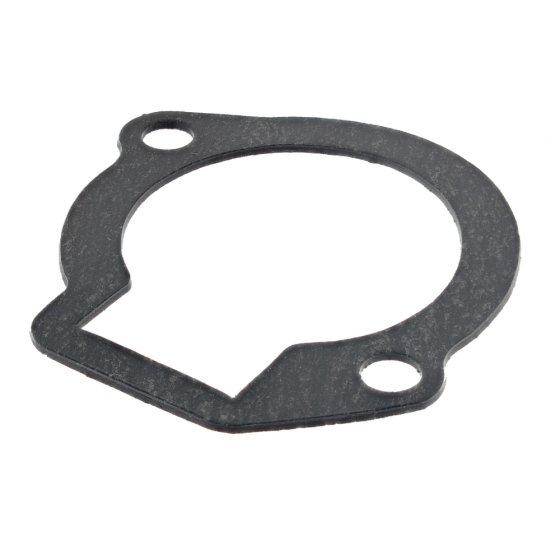 Gasket,Thermostat for Kawasaki FD440V, FD501V Engines - OEM No. 110602099