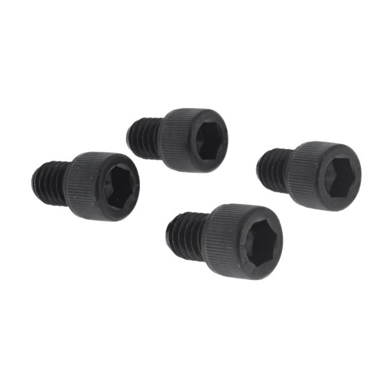 Belt Guard Screw Kit for HT8 Drum Floor Sander - 163869